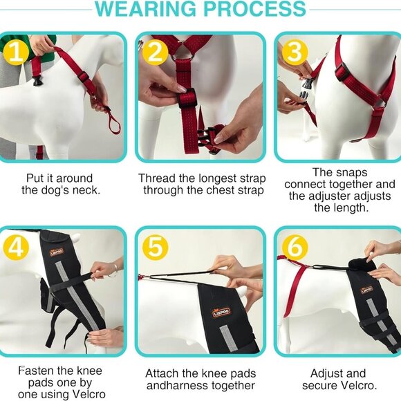 Lispoo Hind Leg Brace for Dog (Medium) - Picture 4 of 4